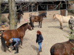 Masterson cursus wordt gegeven door Masja Fick